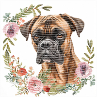 Animal Integration-DW 422